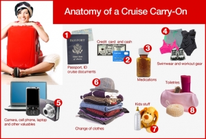 anatomy-cruise-carry-on